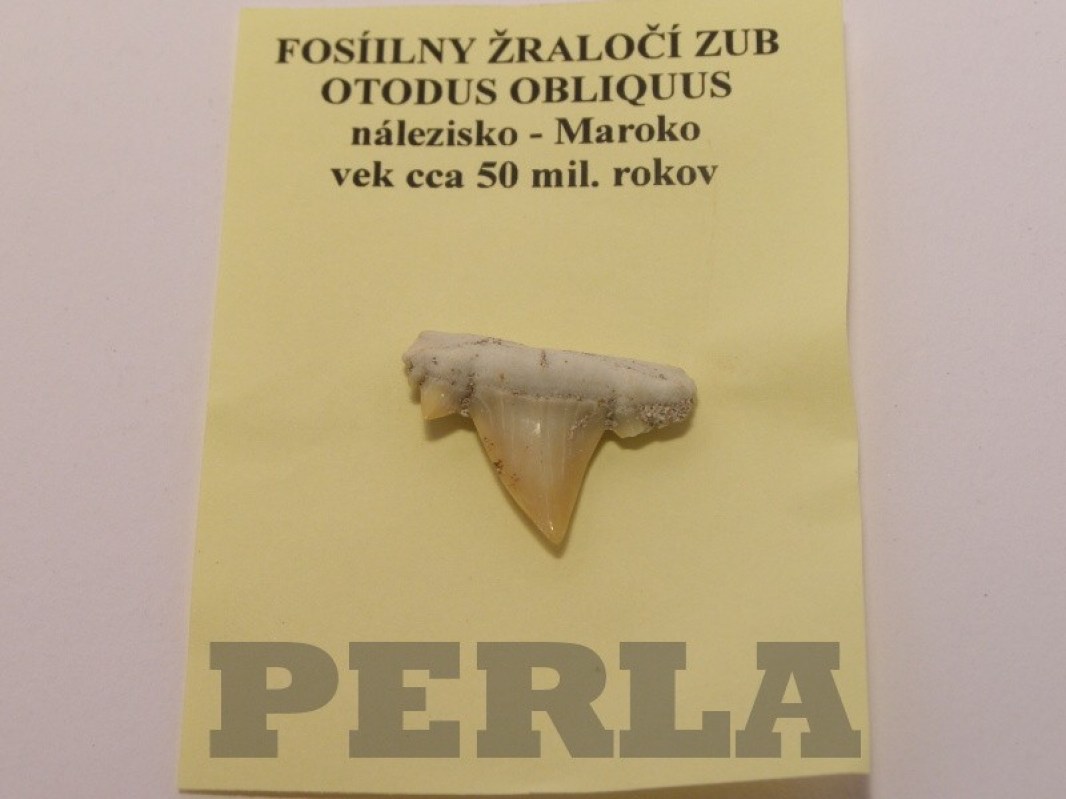 zub